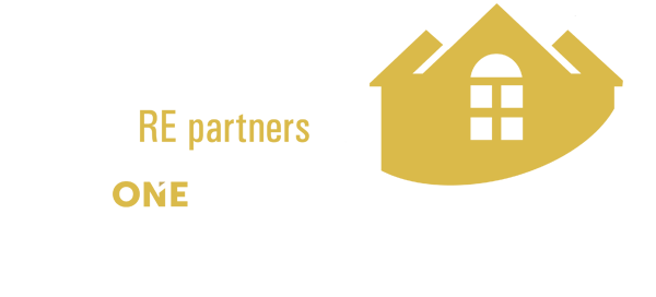 Synergy Re Partners